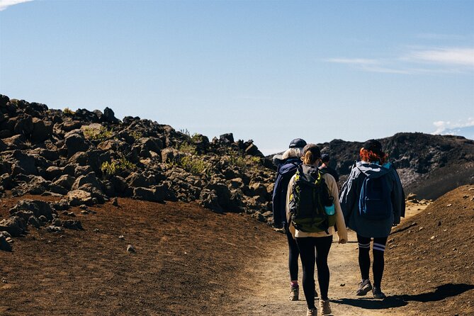 Walking Tour in Haleakalā National Park - Guided Nature Exploration