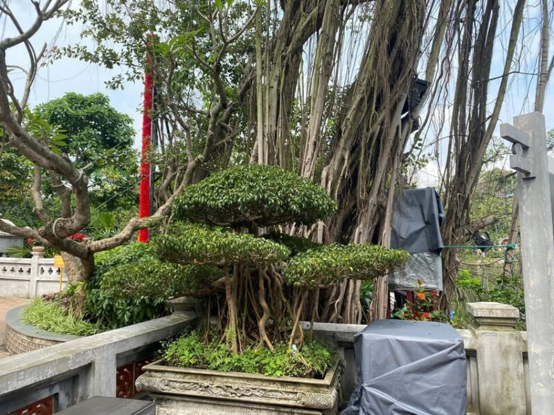 Walking Tour in Hanoi Old Quarter - Key Points