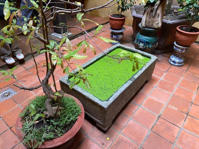 Walking Tour in Hanoi Old Town - Frequently Asked Questions