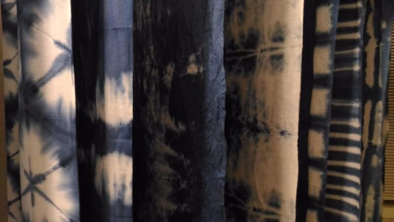Walking Tour in Himeji : Castle, Garden and Indigo Dyeing - Explore the Enchanting Koko-en Garden