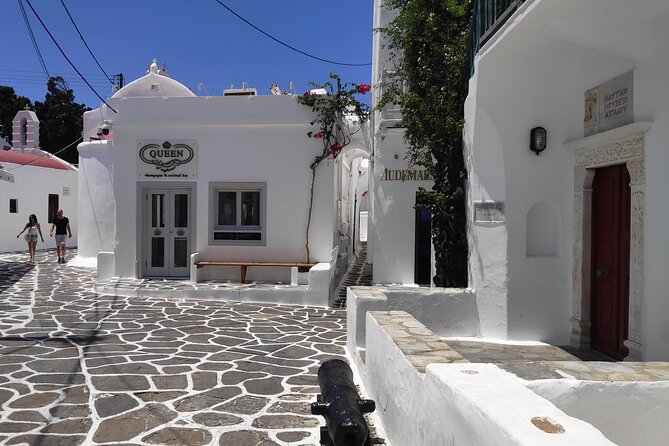 Walking Tour in Mykonos Town & Secluded Beach Picnic - Guest Feedback and Recommendations