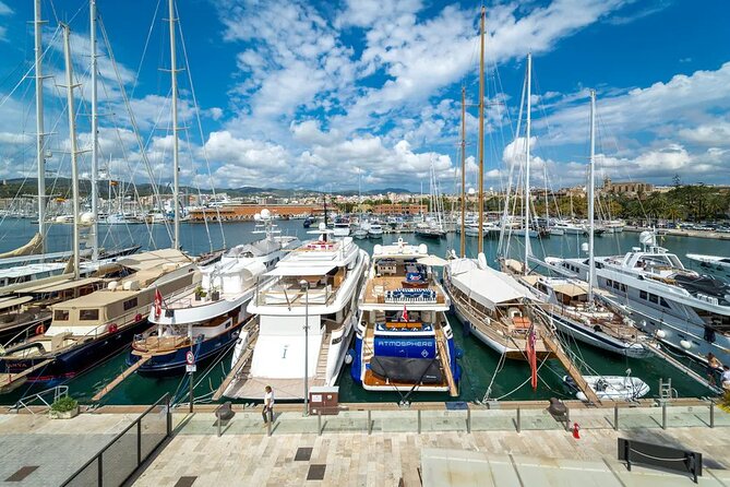 Walking Tour in Palma De Mallorca - What to Bring