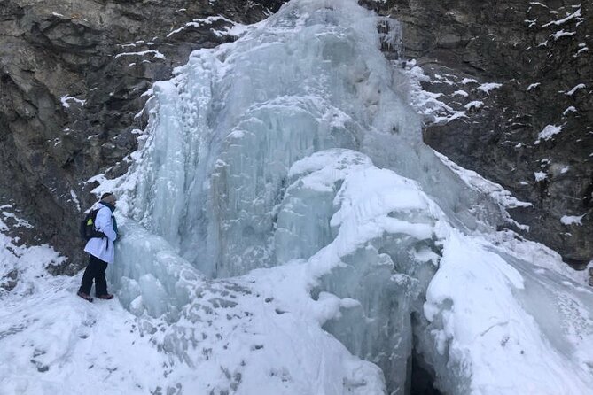 Walking Tour in Star Creek Falls With Science Activities - Whats Included in the Tour