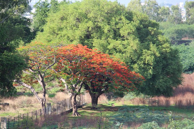 Walking Tour in the Ancient Imperial Garden of Aurangabad - Architectural Wonders in the Palace