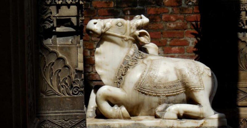 Walking Tour in the Old Part of the City of Varanasi - Inclusions and Exclusions