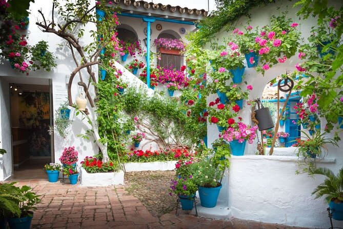 Walking Tour in the Patios of Cordoba - Tour Accessibility