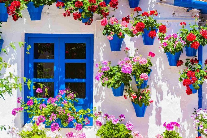Walking Tour in the Patios of Cordoba - Guest Feedback