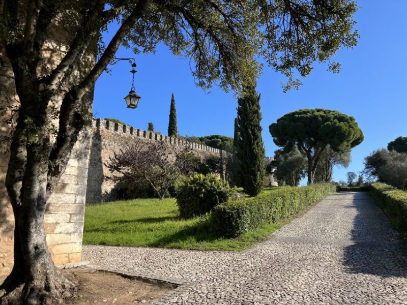 Walking Tour in Vila Viçosa - Participant Information
