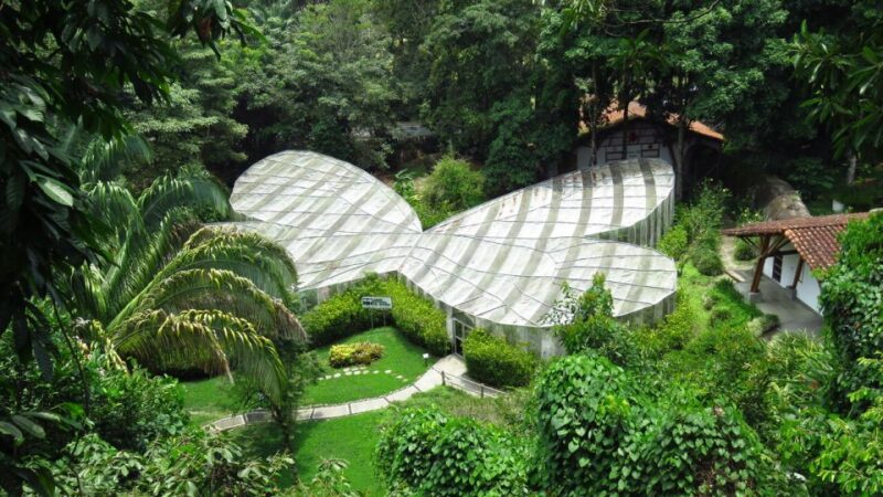 Walking Tour José Celestino Mutis Botanical Garden 3 Hrs - Diverse Plant Species and Exploration
