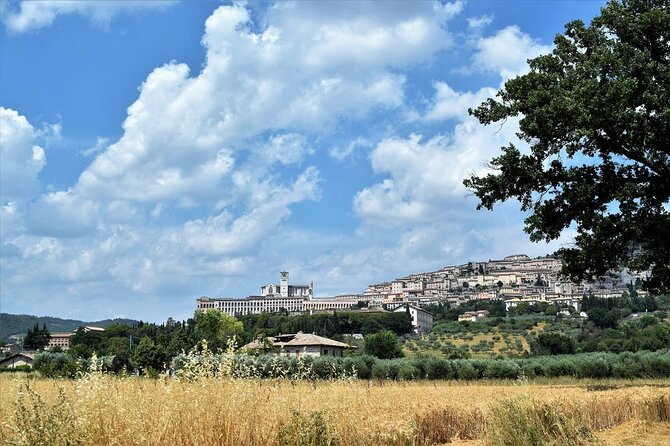 Walking Tour of Assisi for One Hour - Key Points