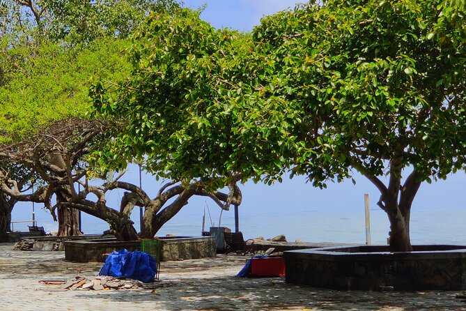 Walking Tour Of Fortkochi & Local Lunch - Architectural Styles