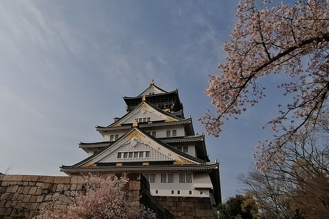 Walking Tour of Osakas 5 Must-See Sights, With Ramen for Lunch - Meeting Point and Duration