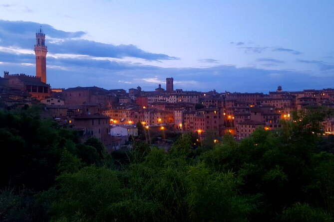Walking Tour of Siena With Food & Chianti Wine - Positive Reviews and Certificate of Excellence