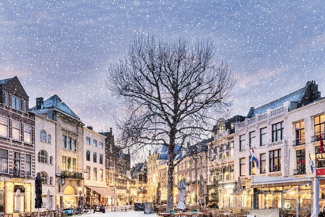 Walking Tour of the Hague With Royal Christmas Fair - Meeting and End Points