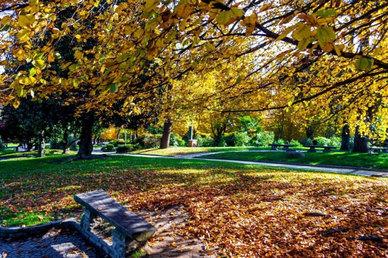 Walking Tour of Valentino Park - the Monumental Trees - Key Points