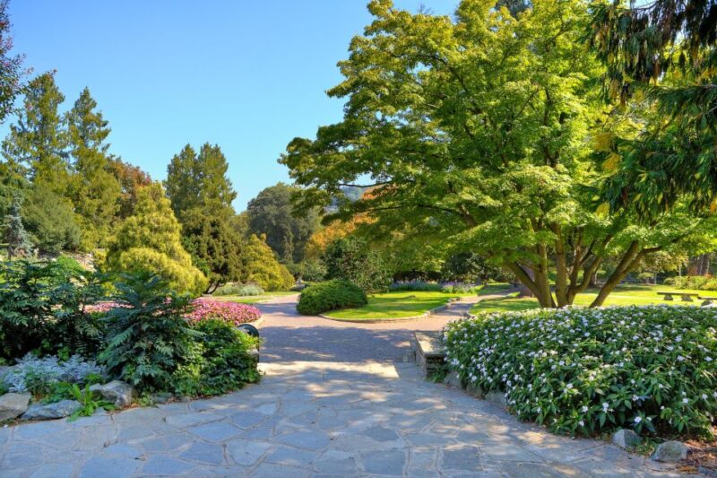 Walking Tour of Valentino Park - the Monumental Trees - Tour Route Description