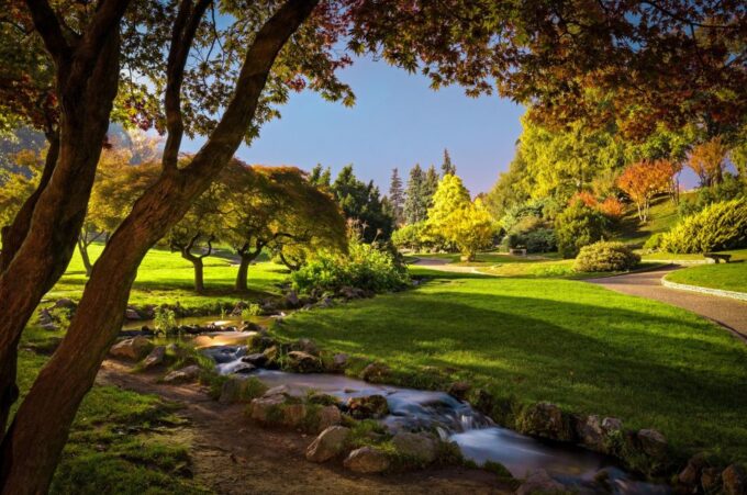 Walking Tour of Valentino Park - the Monumental Trees - Optional Aperitivo Experience