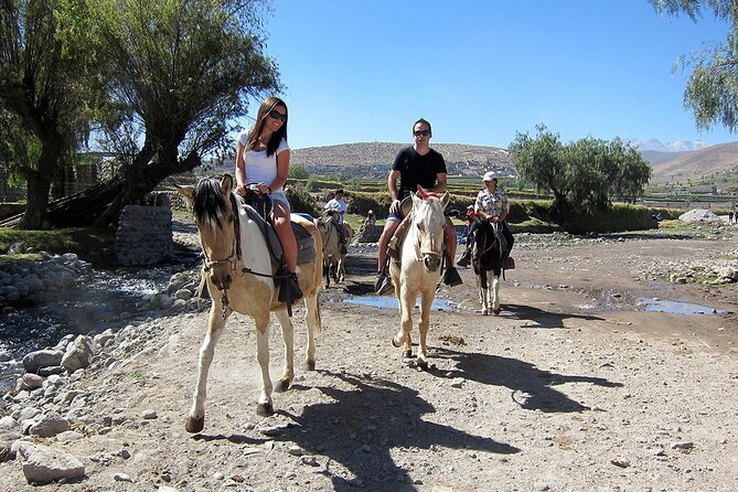 Walking Tour Through the Historic Center of Arequipa - Additional Tour Stops