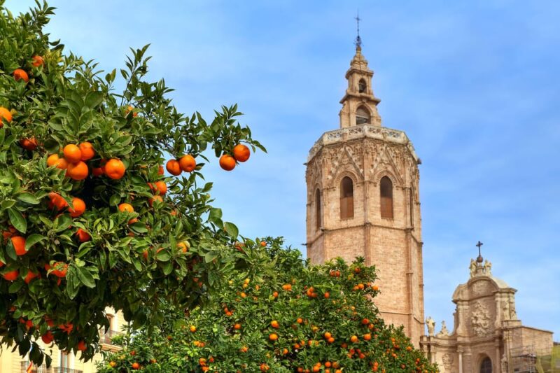 Walking Tour Through Valencias Historic Centre - Key Points