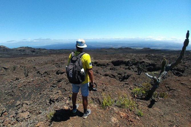 Walking Tour to Sierra Negra Volcano and Chico Volcano From Isabela Island - Itinerary Details