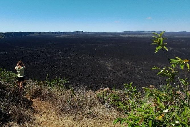Walking Tour to Sierra Negra Volcano and Chico Volcano From Isabela Island - Sierra Negra Volcano