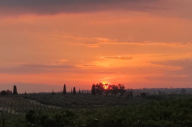 Walking Tour Vendicari Nature Reserve, Tonnara and Noto Barocco - Booking and Cancellation Information