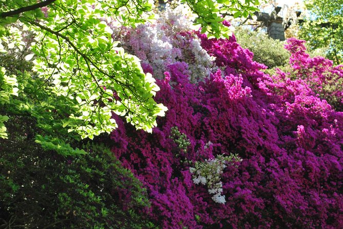Walking Tour With a Private Tour Guide in the Botanical Gardens of Villa Taranto - Additional Information