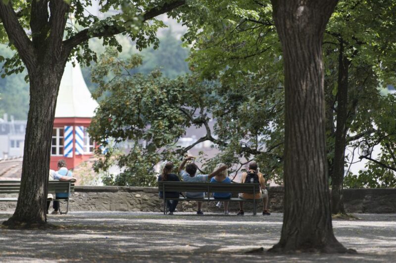 Walking Tour With the Night Watchman - Amusing Anecdotes From Zurichs History