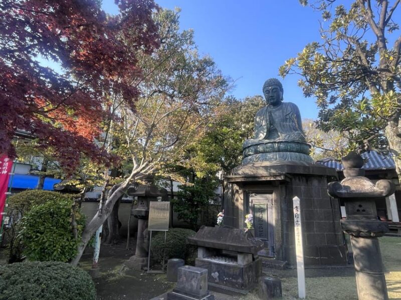 Walking Tour: Yanaka,Nezu& Sendagi: Tea Ceremony & Old Tokyo - Key Points