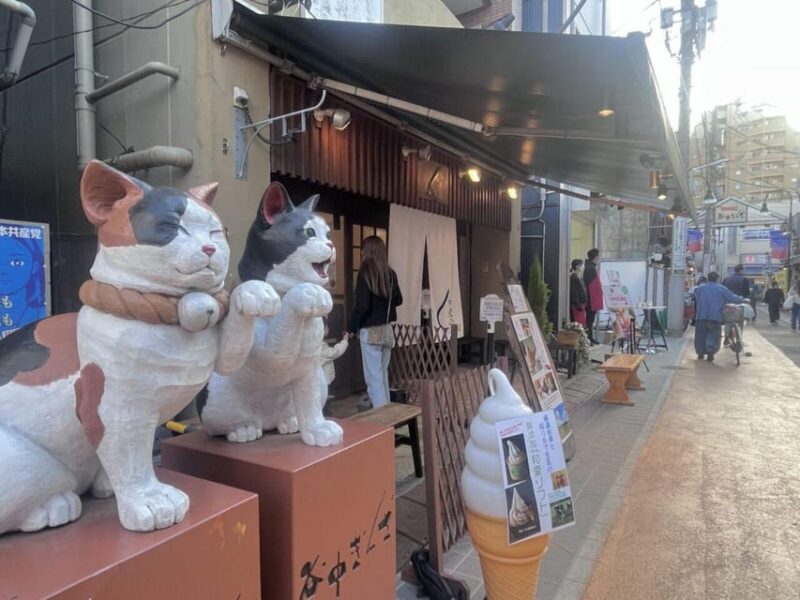 Walking Tour: Yanaka,Nezu& Sendagi: Tea Ceremony & Old Tokyo - Itinerary