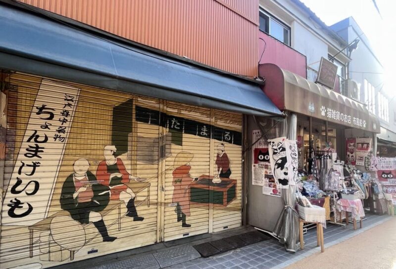 Walking Tour: Yanaka,Nezu& Sendagi: Tea Ceremony & Old Tokyo - Yanaka Cemetery