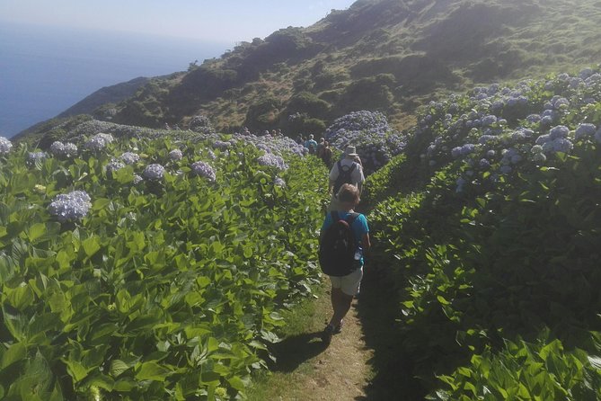 Walking Trail / Tour - Fajã Caldeira Santo Cristo - Cancellation Policy