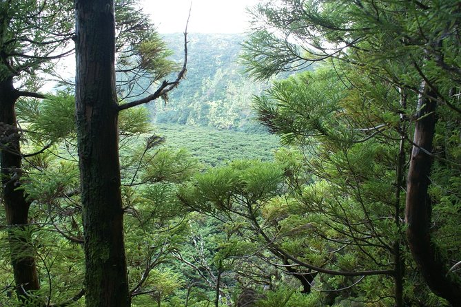 Walking Trails of Terceira - Accessibility and Requirements