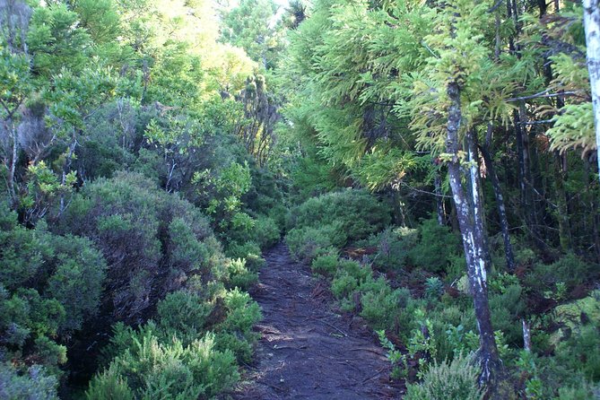 Walking Trails of Terceira - Guest Reviews