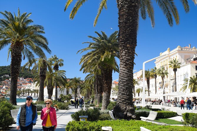 Walking Vegan Food Tour of Split - Meeting Point and Transportation