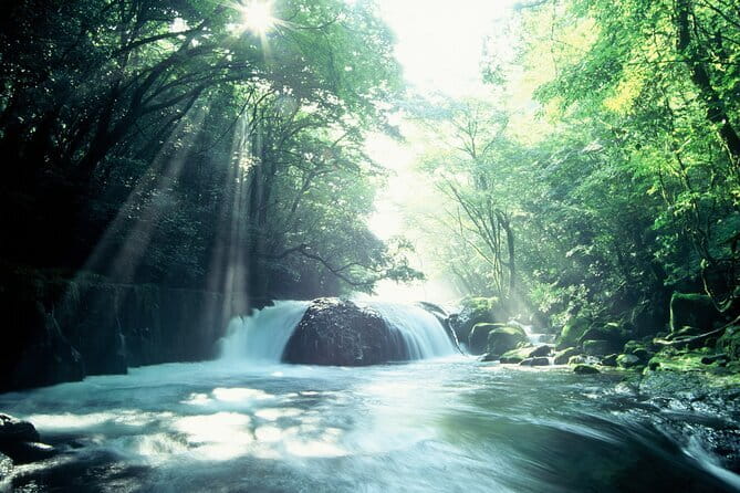 Walking With a Guide Through the Kikuchi Valley - Key Points