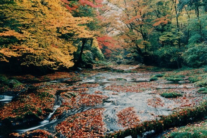 Walking With a Guide Through the Kikuchi Valley - Inclusions and Fees