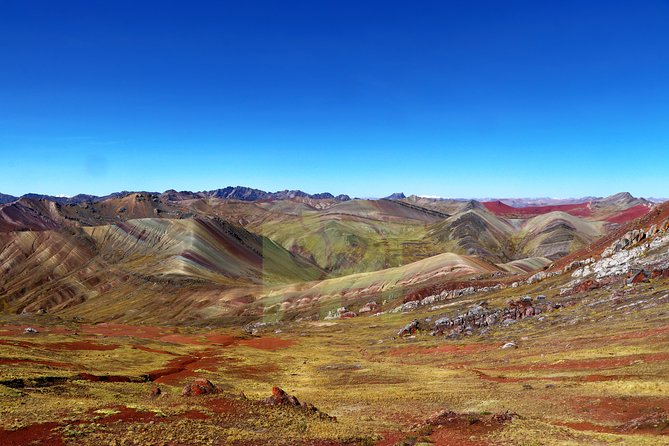 Walking With Alpacas in Palcoyo: the Alternative Rainbow Mountain - Reviews and Ratings