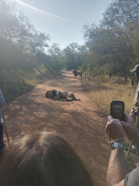 Walking With Lions - Included in the Package