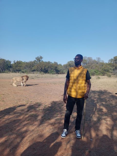 Walking With Lions - Guided Tour and Supervision
