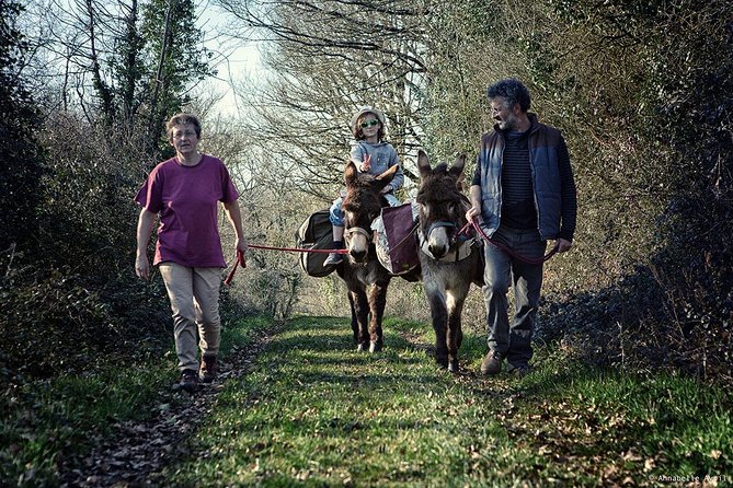 Walks and Hikes With Donkeys - Exploration and Activities