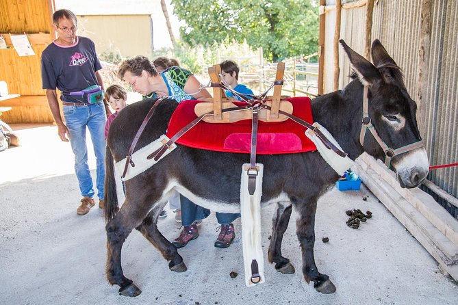 Walks and Hikes With Donkeys - Customizable Tour Options