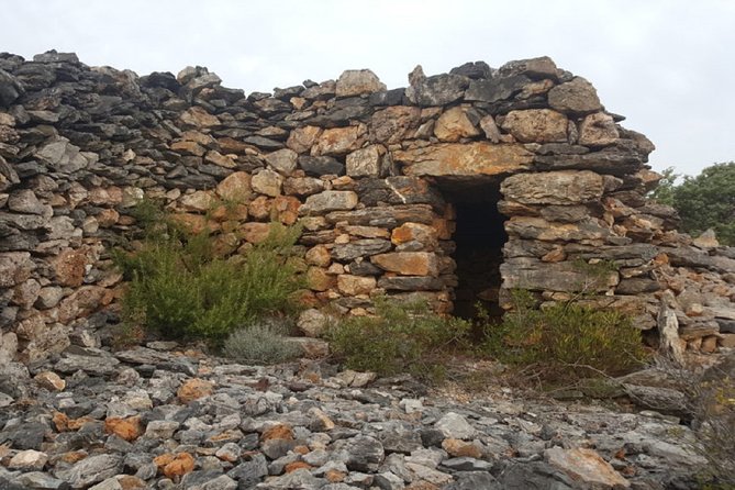 Walks in the Heart of the Secret Vineyards Around Collioure, Tastings - Visitor Feedback and Recommendations