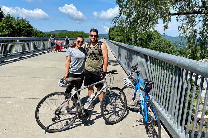 Walkway Over the Hudson & Winery Tour in the Hudson Valley - Activity: Walkway Over the Hudson