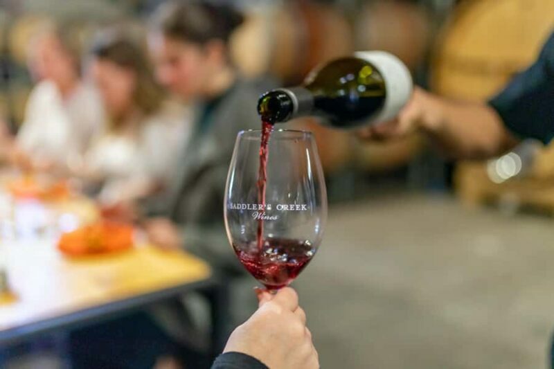 Wallabies and Wine Hunter Valley Adventure Private Tour - Key Points