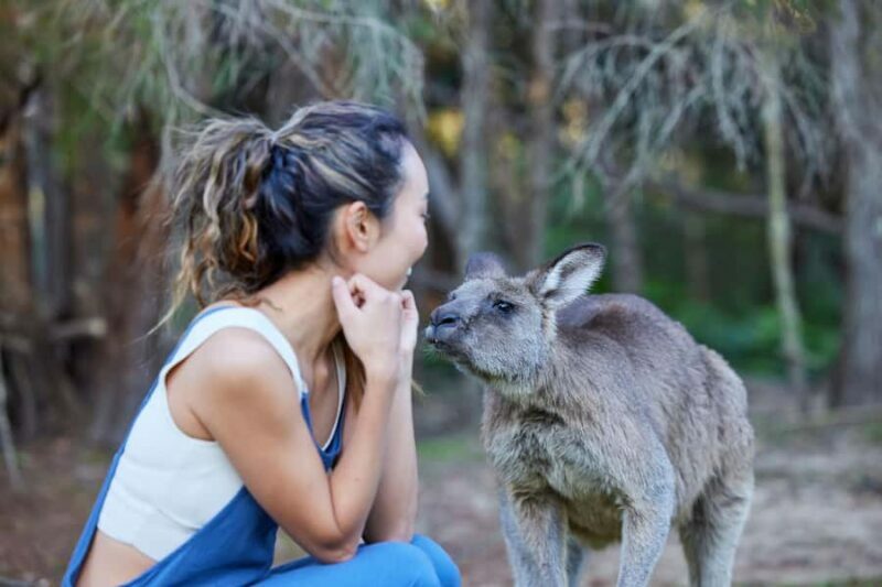 Wallabies and Wine Hunter Valley Adventure Private Tour - The Sum Up: Is It Worth It?