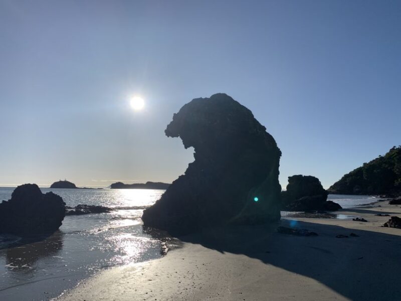 Wallabies on the Beach Sunrise Trip From Mackay - Key Points