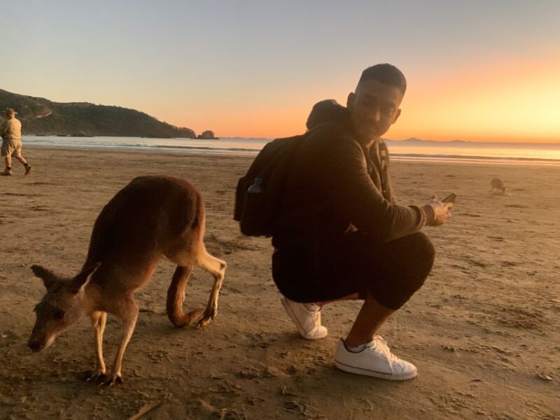 Wallabies on the Beach Sunrise Trip From Mackay - What to Bring and Important Notes