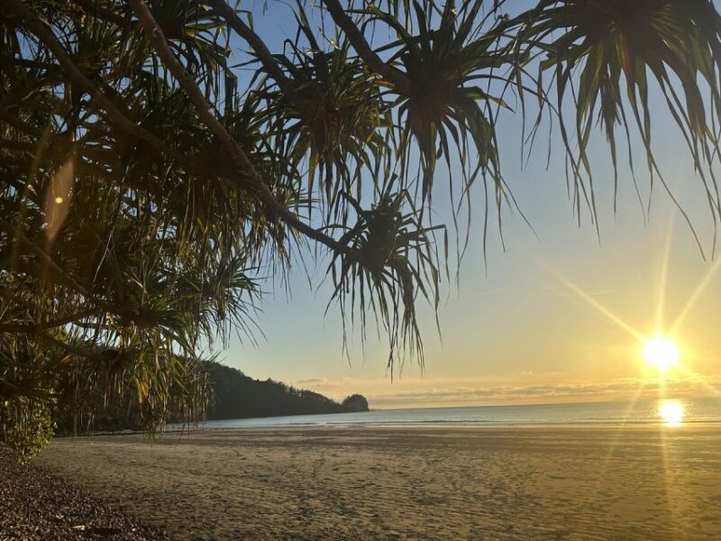 Wallabies on the Beach Sunrise Trip From Mackay - Customer Reviews and Ratings