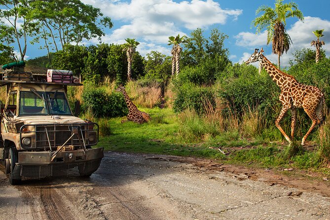 Walt Disney World Admission With Water Park and Sports Option - Accessibility and Transportation